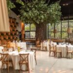 Restaurant Interior Designer in Noida | Greater Noida | Delhi NCR