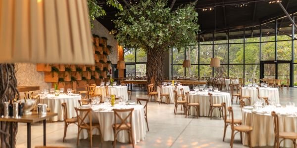 Restaurant Interior Designer in Noida | Greater Noida | Delhi NCR